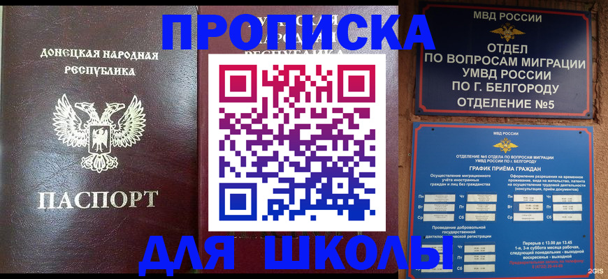 прописка для работы в Жердевке